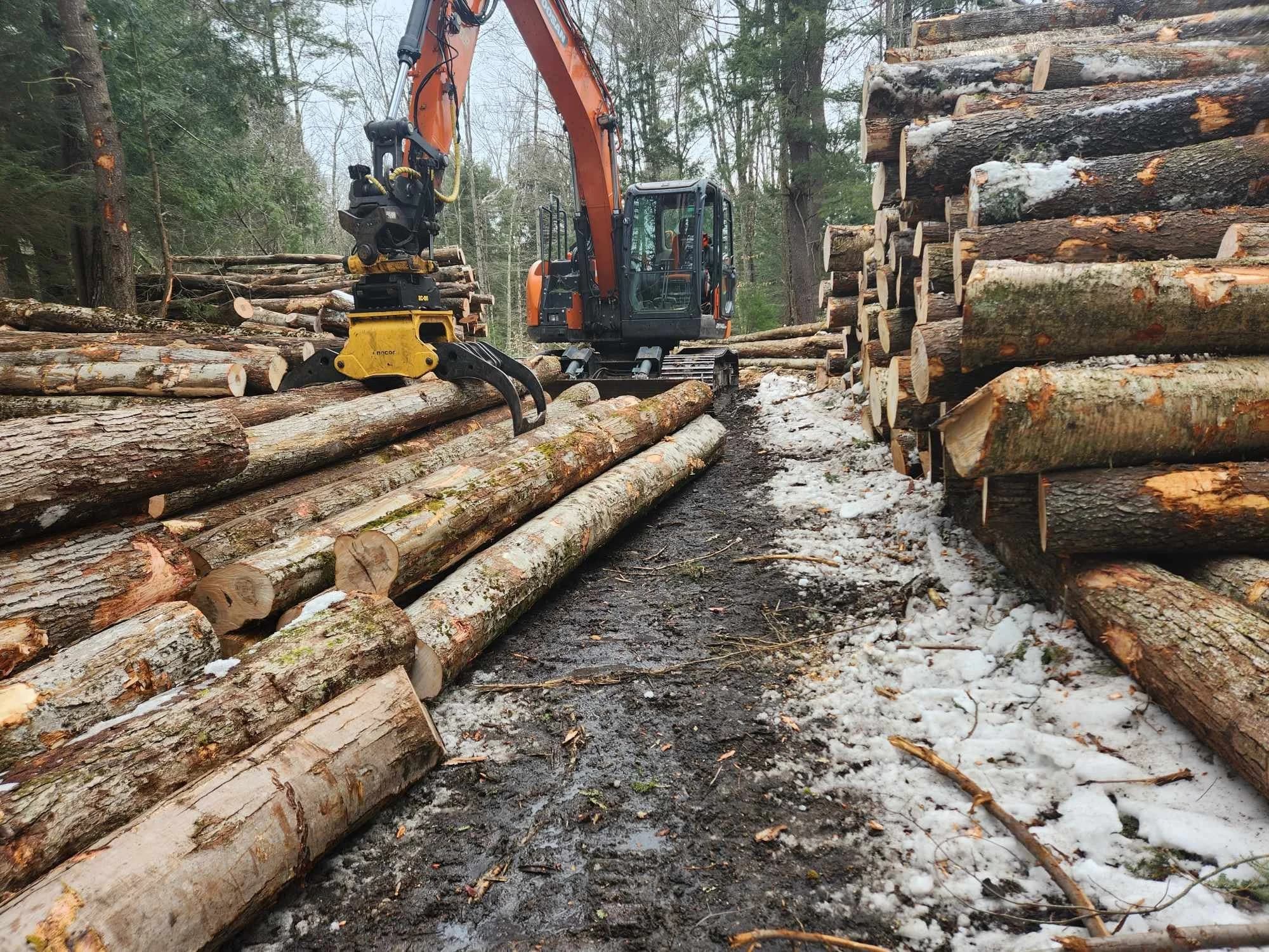 Ponsse processing head working with cut logs in the woods