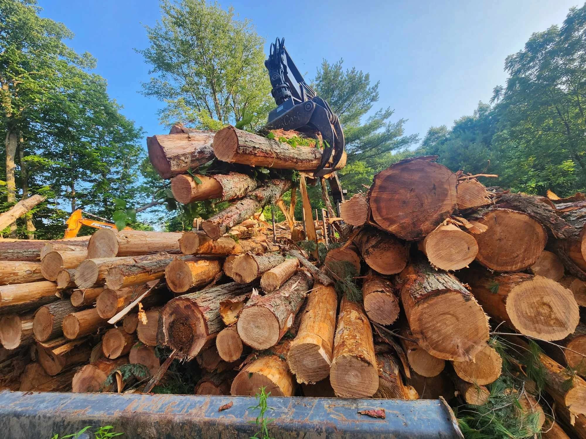 Grapple loading hand-selected hardwood logs