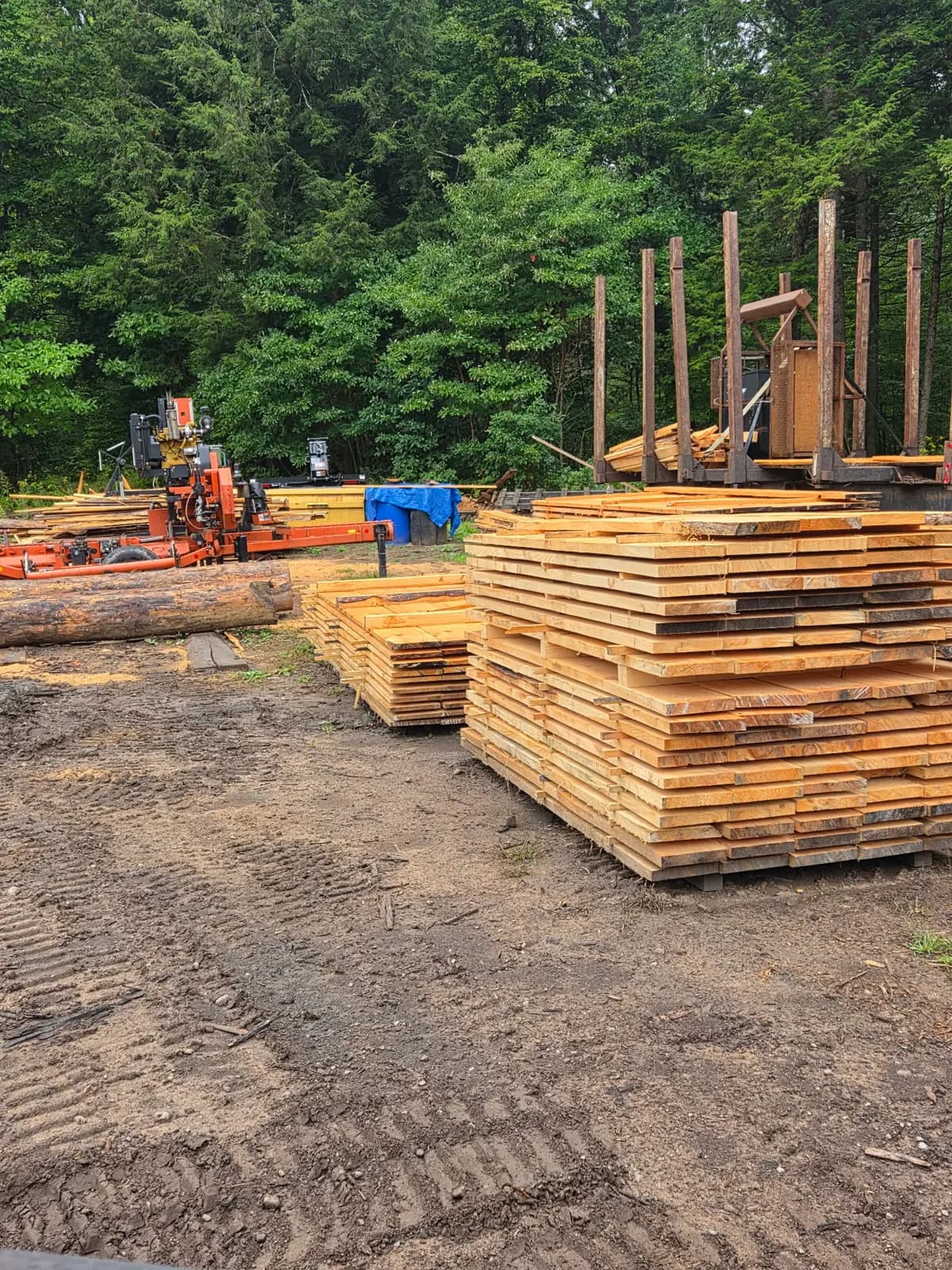 Stacks of rough-cut boards beside the sawmill in the Patriot yard